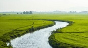 Open an Agricultural Business in Vietnam